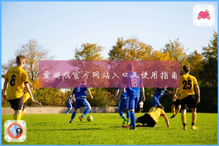 爱游戏官方网站入口及使用指南